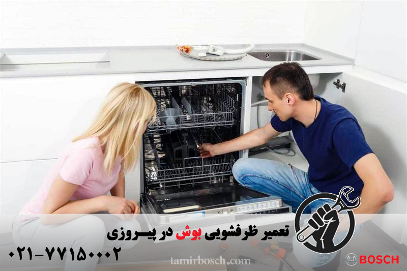 تعمیر ظرفشویی بوش در پیروزی
