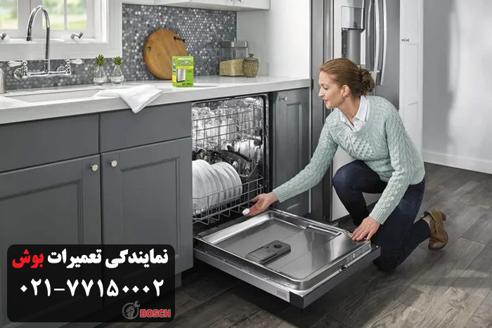 تعمیر ظرفشویی بوش در نمایندگی منطقه تهرانپارس
