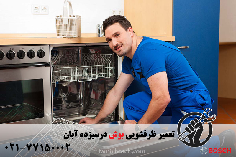 تعمیر ظرفشویی بوش در سیزده آبان