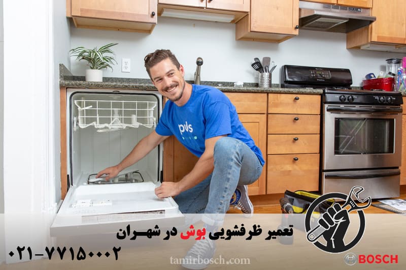 تعمیر ظرفشویی بوش در شهران
