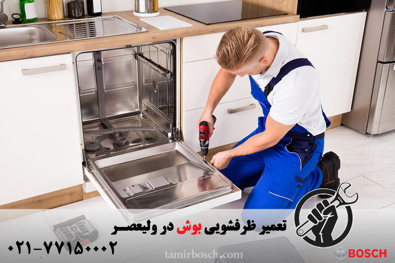 تعمیر ظرفشویی بوش در ولیعصر