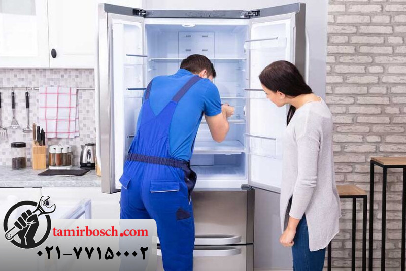 معایب یخچال دو قلو Bosch